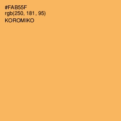 #FAB55F - Koromiko Color Image