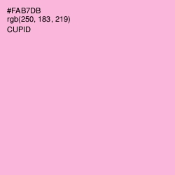 #FAB7DB - Cupid Color Image