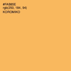 #FAB85E - Koromiko Color Image