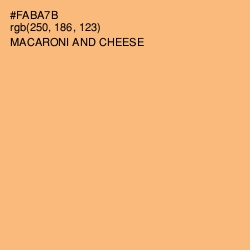 #FABA7B - Macaroni and Cheese Color Image