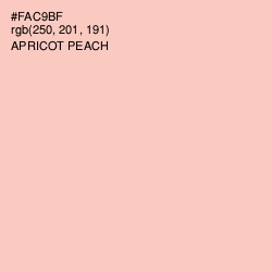 #FAC9BF - Apricot Peach Color Image