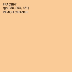 #FACB97 - Peach Orange Color Image