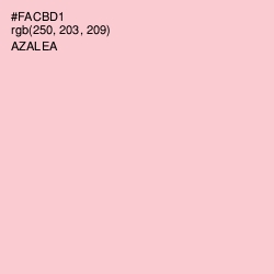 #FACBD1 - Azalea Color Image