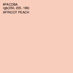 #FACDBA - Apricot Peach Color Image