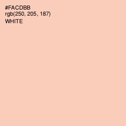 #FACDBB - Apricot Peach Color Image