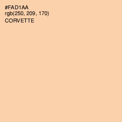 #FAD1AA - Corvette Color Image