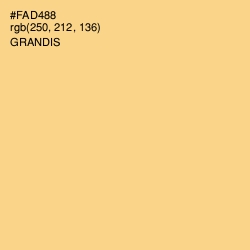 #FAD488 - Grandis Color Image