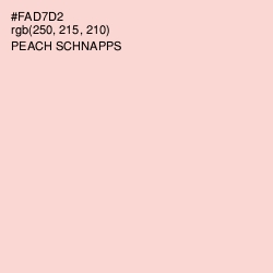 #FAD7D2 - Peach Schnapps Color Image