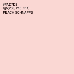 #FAD7D3 - Peach Schnapps Color Image