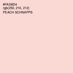 #FAD8D4 - Peach Schnapps Color Image