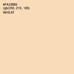 #FADBB9 - Wheat Color Image