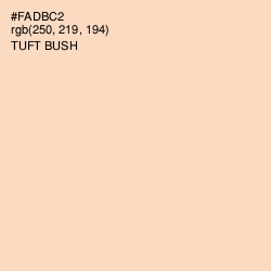 #FADBC2 - Tuft Bush Color Image