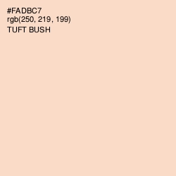 #FADBC7 - Tuft Bush Color Image