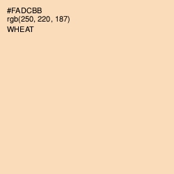 #FADCBB - Wheat Color Image
