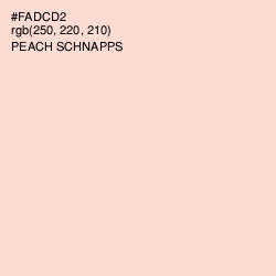 #FADCD2 - Peach Schnapps Color Image