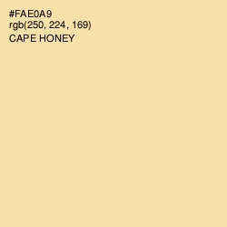 #FAE0A9 - Cape Honey Color Image