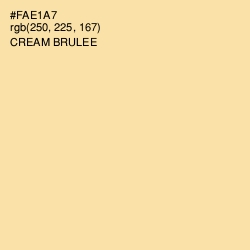 #FAE1A7 - Cream Brulee Color Image