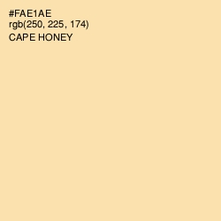 #FAE1AE - Cape Honey Color Image