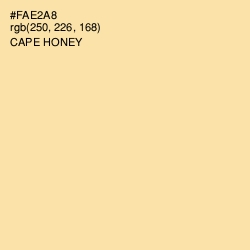 #FAE2A8 - Cape Honey Color Image