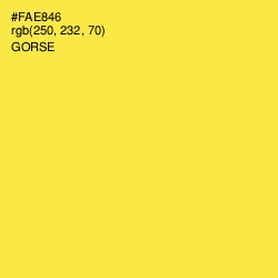 #FAE846 - Gorse Color Image