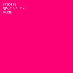 #FB0175 - Rose Color Image