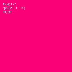 #FB0177 - Rose Color Image