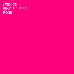 #FB017B - Rose Color Image