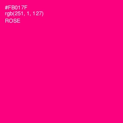 #FB017F - Rose Color Image