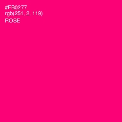 #FB0277 - Rose Color Image