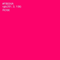 #FB036A - Rose Color Image