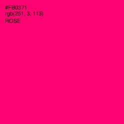 #FB0371 - Rose Color Image