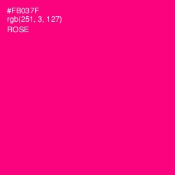#FB037F - Rose Color Image