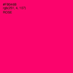 #FB046B - Rose Color Image