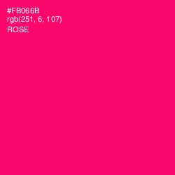 #FB066B - Rose Color Image