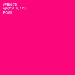 #FB067B - Rose Color Image