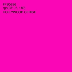 #FB06B6 - Hollywood Cerise Color Image