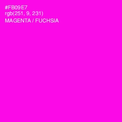 #FB09E7 - Magenta / Fuchsia Color Image