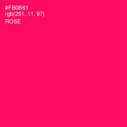 #FB0B61 - Rose Color Image