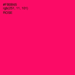 #FB0B65 - Rose Color Image