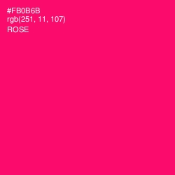 #FB0B6B - Rose Color Image