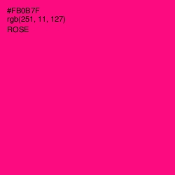 #FB0B7F - Rose Color Image