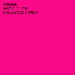 #FB0B88 - Hollywood Cerise Color Image