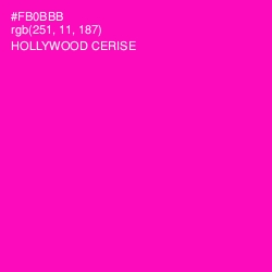 #FB0BBB - Hollywood Cerise Color Image