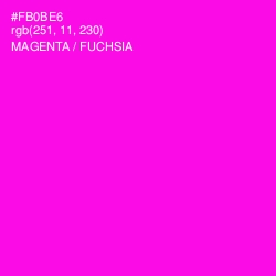 #FB0BE6 - Magenta / Fuchsia Color Image