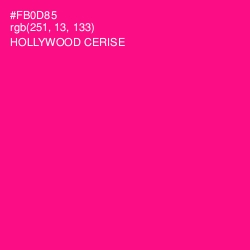 #FB0D85 - Hollywood Cerise Color Image