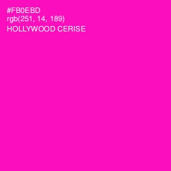 #FB0EBD - Hollywood Cerise Color Image