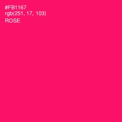 #FB1167 - Rose Color Image