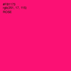 #FB1173 - Rose Color Image