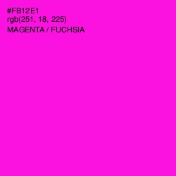 #FB12E1 - Magenta / Fuchsia Color Image