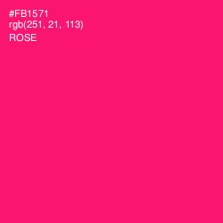 #FB1571 - Rose Color Image